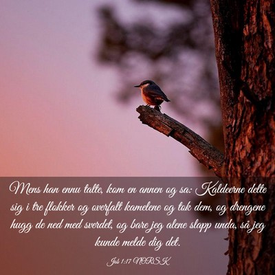 Picture 03 - Job 1:17 NORSK - Mens han ennu talte, kom en annen og sa: - Bible Verse Picture