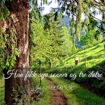Picture 03 - Job 1:2 NORSK - Han fikk syv sønner og tre - Bible Verse Picture