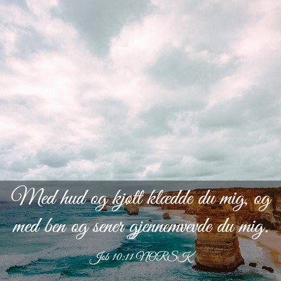Picture 03 - Job 10:11 NORSK - Med hud og kjøtt klædde du mig, og med ben og - Bible Verse Picture