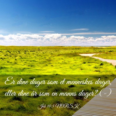 Picture 03 - Job 10:5 NORSK - Er dine dager som et menneskes dager, eller dine - Bible Verse Picture