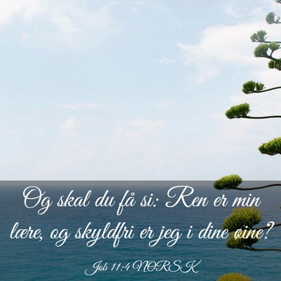 Picture 03 - Job 11:4 NORSK - Og skal du få si: Ren er min lære, og skyldfri - Bible Verse Picture