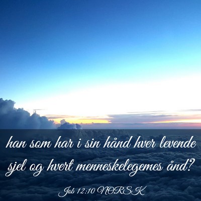 Picture 03 - Job 12:10 NORSK - han som har i sin hånd hver levende sjel og - Bible Verse Picture