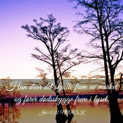 Picture 03 - Job 12:22 NORSK - Han drar det skjulte frem av mørket og fører - Bible Verse Picture