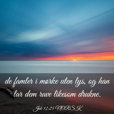 Picture 03 - Job 12:25 NORSK - de famler i mørke uten lys, og han lar dem rave - Bible Verse Picture