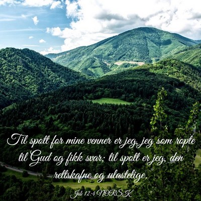 Picture 03 - Job 12:4 NORSK - Til spott for mine venner er jeg, jeg som ropte - Bible Verse Picture