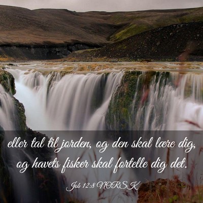 Picture 03 - Job 12:8 NORSK - eller tal til jorden, og den skal lære dig, og - Bible Verse Picture