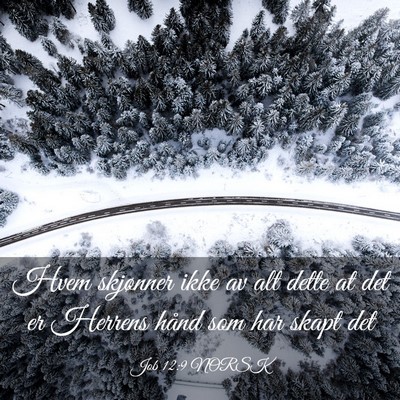 Picture 03 - Job 12:9 NORSK - Hvem skjønner ikke av alt dette at det er - Bible Verse Picture