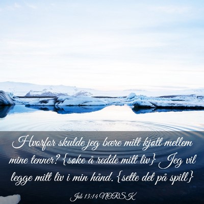 Picture 03 - Job 13:14 NORSK - Hvorfor skulde jeg bære mitt kjøtt mellem mine - Bible Verse Picture