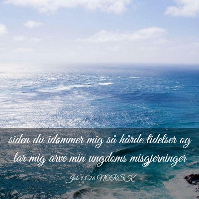 Picture 03 - Job 13:26 NORSK - siden du idømmer mig så hårde lidelser og lar - Bible Verse Picture