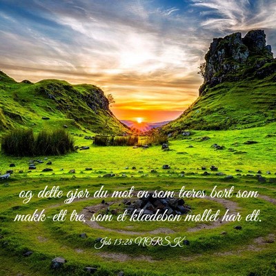Picture 03 - Job 13:28 NORSK - og dette gjør du mot en som tæres bort som - Bible Verse Picture