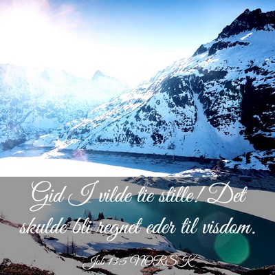 Picture 03 - Job 13:5 NORSK - Gid I vilde tie stille! Det skulde bli regnet - Bible Verse Picture