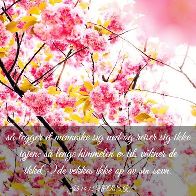 Picture 03 - Job 14:12 NORSK - så legger et menneske sig ned og reiser sig ikke - Bible Verse Picture