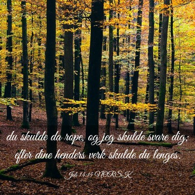 Picture 03 - Job 14:15 NORSK - du skulde da rope, og jeg skulde svare dig; efter - Bible Verse Picture