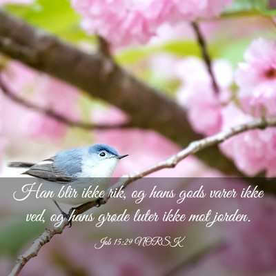 Picture 03 - Job 15:29 NORSK - Han blir ikke rik, og hans gods varer ikke ved, - Bible Verse Picture