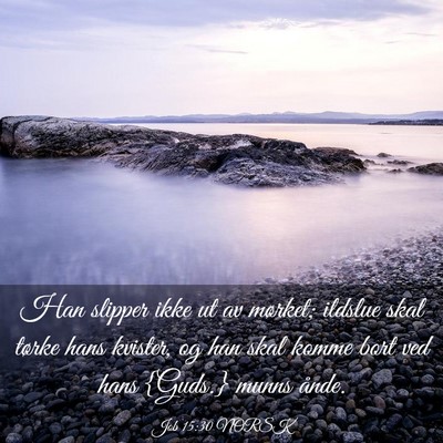Picture 03 - Job 15:30 NORSK - Han slipper ikke ut av mørket; ildslue skal - Bible Verse Picture