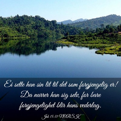 Picture 03 - Job 15:31 NORSK - Ei sette han sin lit til det som forgjengelig er! - Bible Verse Picture