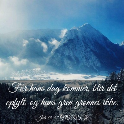 Picture 03 - Job 15:32 NORSK - Før hans dag kommer, blir det opfylt, og hans - Bible Verse Picture