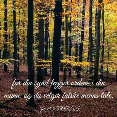 Picture 03 - Job 15:5 NORSK - for din synd legger ordene i din munn, og du - Bible Verse Picture
