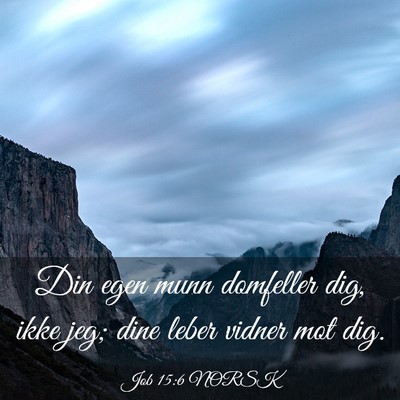 Picture 03 - Job 15:6 NORSK - Din egen munn domfeller dig, ikke jeg; dine leber - Bible Verse Picture