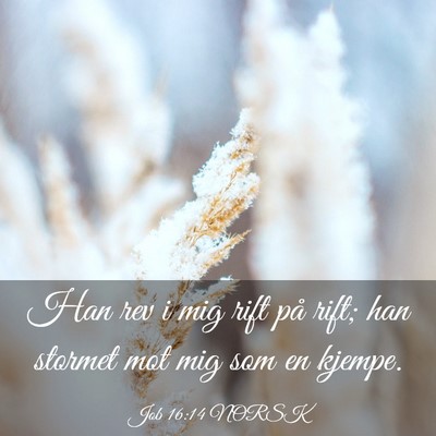 Picture 03 - Job 16:14 NORSK - Han rev i mig rift på rift; han stormet mot mig - Bible Verse Picture