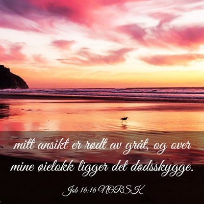 Picture 03 - Job 16:16 NORSK - mitt ansikt er rødt av gråt, og over mine - Bible Verse Picture