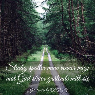 Picture 03 - Job 16:20 NORSK - Stadig spotter mine venner mig; mot Gud skuer - Bible Verse Picture