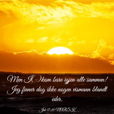 Picture 03 - Job 17:10 NORSK - Men I(-)kom bare igjen alle sammen! Jeg finner - Bible Verse Picture