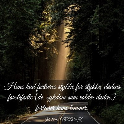 Picture 03 - Job 18:13 NORSK - Hans hud fortæres stykke for stykke, dødens - Bible Verse Picture