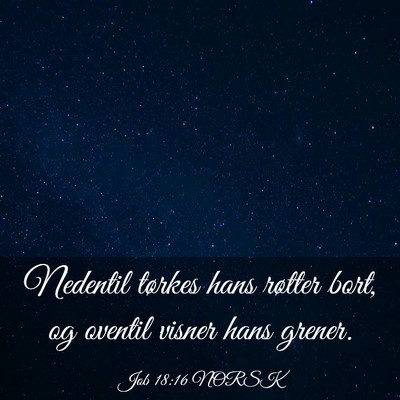 Picture 03 - Job 18:16 NORSK - Nedentil tørkes hans røtter bort, og oventil - Bible Verse Picture