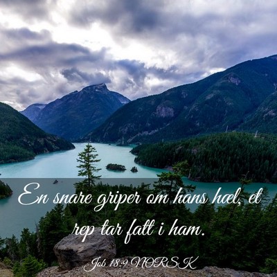 Picture 03 - Job 18:9 NORSK - En snare griper om hans hæl, et rep tar fatt i - Bible Verse Picture