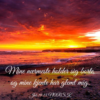 Picture 03 - Job 19:14 NORSK - Mine nærmeste holder sig borte, og mine kjente - Bible Verse Picture