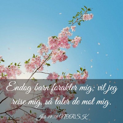 Picture 03 - Job 19:18 NORSK - Endog barn forakter mig; vil jeg reise mig, så - Bible Verse Picture