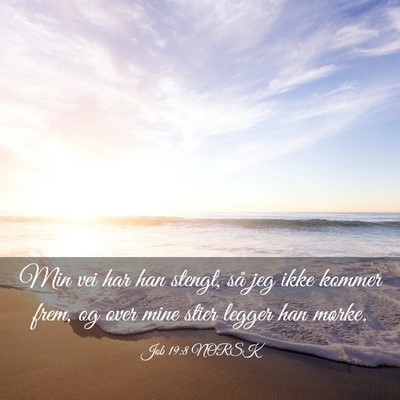Picture 03 - Job 19:8 NORSK - Min vei har han stengt, så jeg ikke kommer frem, - Bible Verse Picture