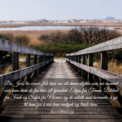 Picture 03 - Job 2:11 NORSK - Da Jobs tre venner fikk høre om all denne ulykke - Bible Verse Picture