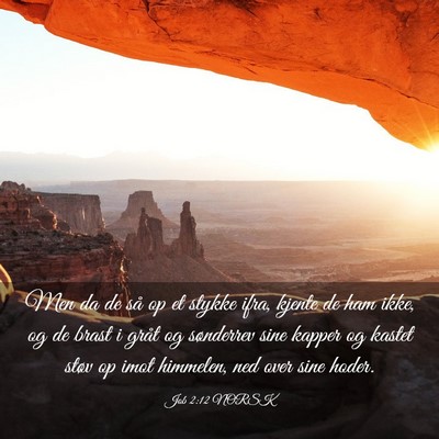 Picture 03 - Job 2:12 NORSK - Men da de så op et stykke ifra, kjente de ham - Bible Verse Picture