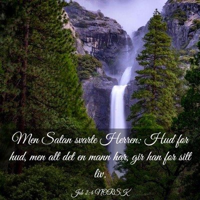 Picture 03 - Job 2:4 NORSK - Men Satan svarte Herren: Hud for hud, men alt det - Bible Verse Picture