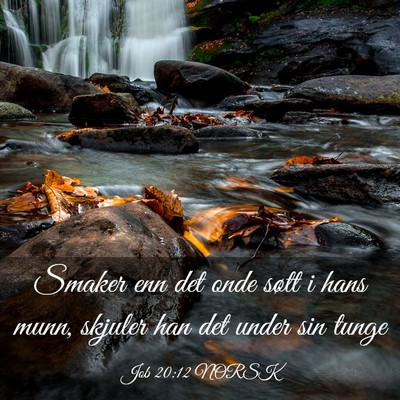 Picture 03 - Job 20:12 NORSK - Smaker enn det onde søtt i hans munn, skjuler - Bible Verse Picture