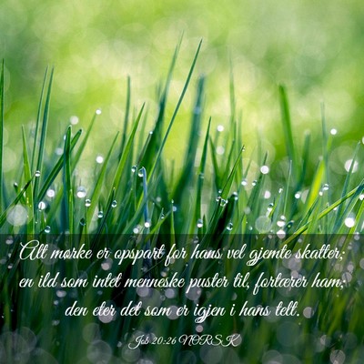 Picture 03 - Job 20:26 NORSK - Alt mørke er opspart for hans vel gjemte - Bible Verse Picture