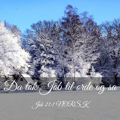 Picture 03 - Job 21:1 NORSK - Da tok Job til orde og - Bible Verse Picture