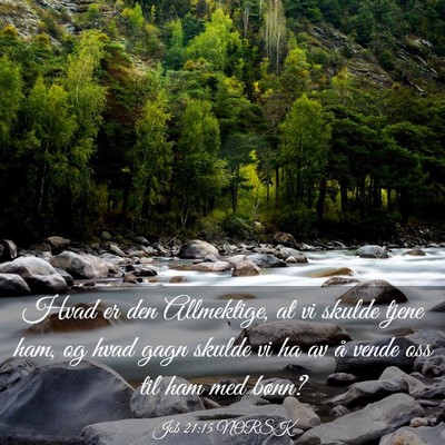 Picture 03 - Job 21:15 NORSK - Hvad er den Allmektige, at vi skulde tjene ham, - Bible Verse Picture