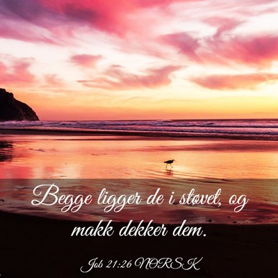 Picture 03 - Job 21:26 NORSK - Begge ligger de i støvet, og makk dekker - Bible Verse Picture