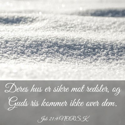 Picture 03 - Job 21:9 NORSK - Deres hus er sikre mot redsler, og Guds ris - Bible Verse Picture