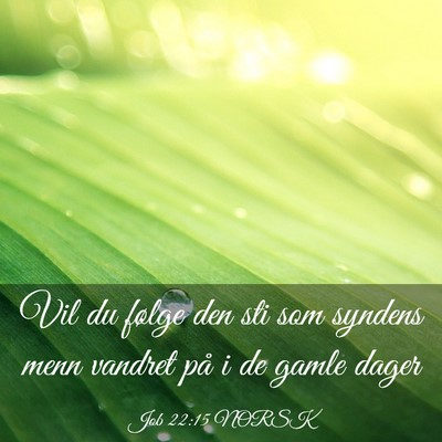 Picture 03 - Job 22:15 NORSK - Vil du følge den sti som syndens menn vandret - Bible Verse Picture