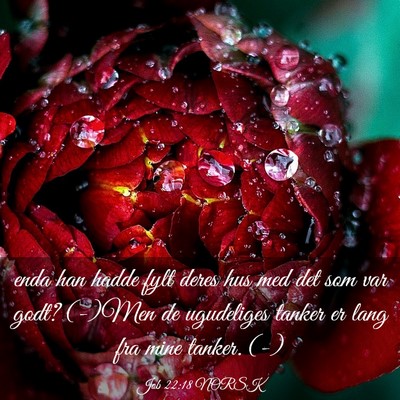 Picture 03 - Job 22:18 NORSK - enda han hadde fylt deres hus med det som var - Bible Verse Picture