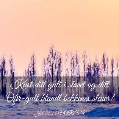 Picture 03 - Job 22:24 NORSK - Kast ditt gull i støvet og ditt Ofir-gull blandt - Bible Verse Picture