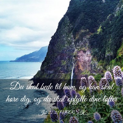 Picture 03 - Job 22:27 NORSK - Du skal bede til ham, og han skal høre dig, og - Bible Verse Picture