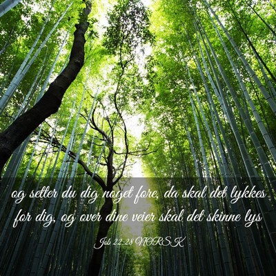 Picture 03 - Job 22:28 NORSK - og setter du dig noget fore, da skal det lykkes - Bible Verse Picture