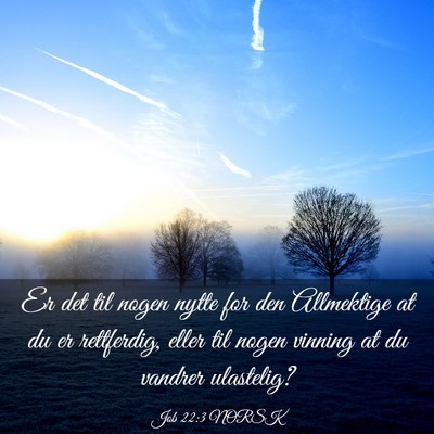 Picture 03 - Job 22:3 NORSK - Er det til nogen nytte for den Allmektige at du - Bible Verse Picture