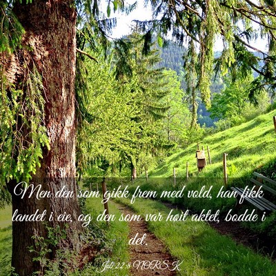 Picture 03 - Job 22:8 NORSK - Men den som gikk frem med vold, han fikk landet i - Bible Verse Picture
