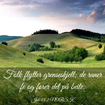 Picture 03 - Job 24:2 NORSK - Folk flytter grenseskjell; de raner fe og fører - Bible Verse Picture